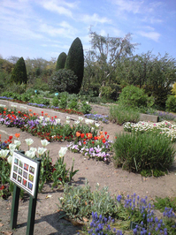 CA390069.JPGのサムネール画像のサムネール画像